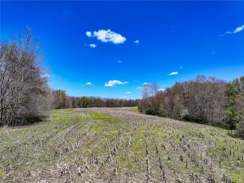 6692 Butler-North Liberty Road Butler, OH 44822 - Photo 16 of 23 View of local wilderness