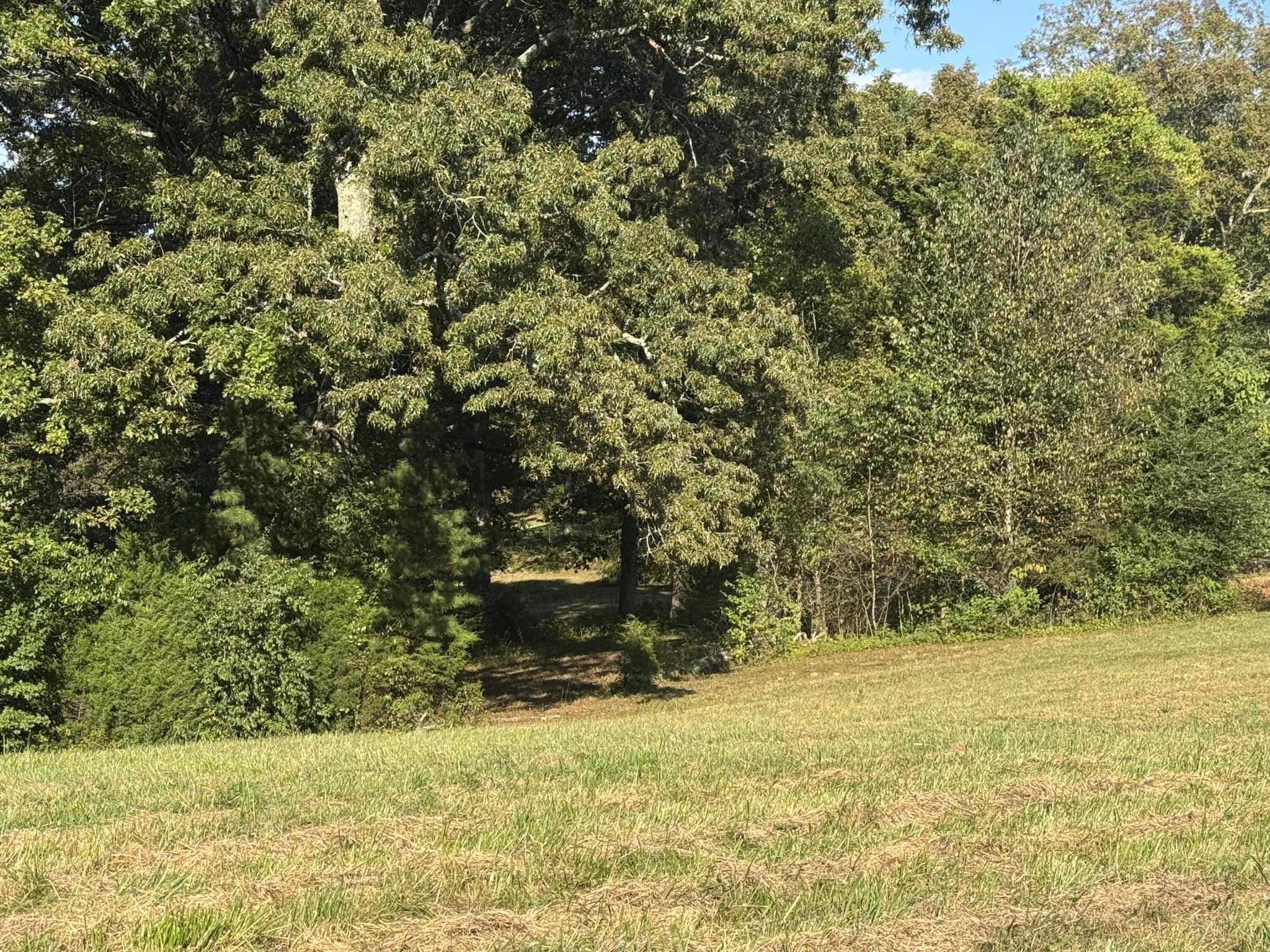 13875 Rankin Avenue Dunlap, TN 37327 - Photo 11 of 34