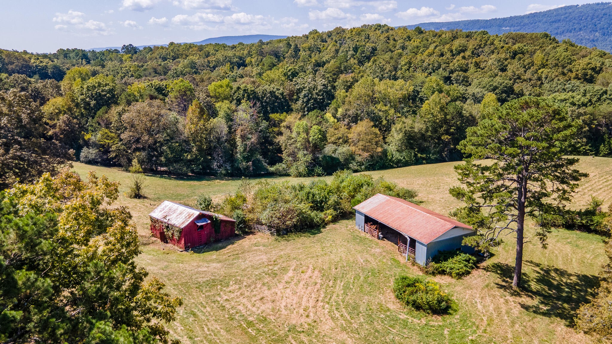 13875 Rankin Avenue Dunlap, TN 37327 - Photo 12 of 34