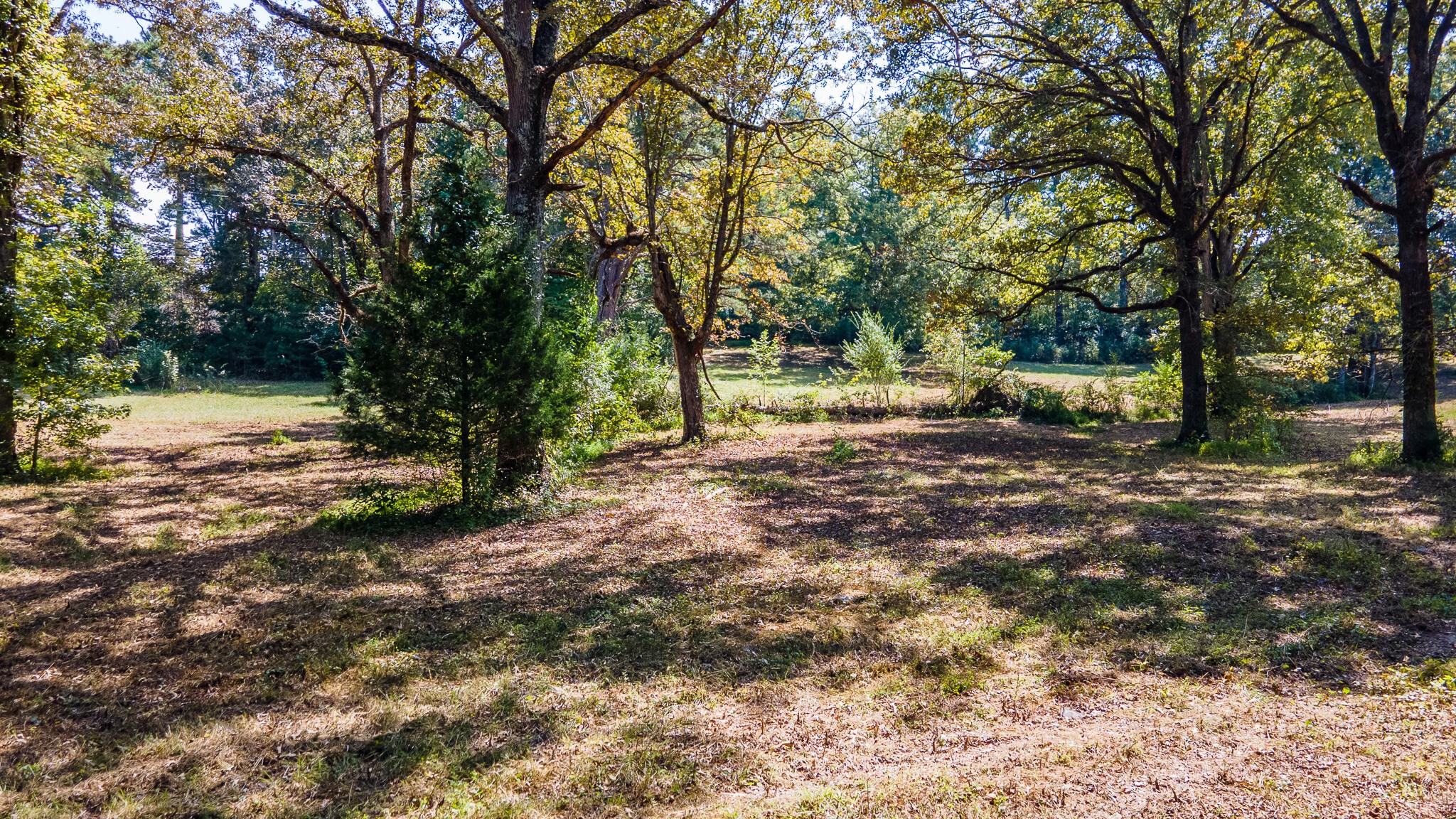 13875 Rankin Avenue Dunlap, TN 37327 - Photo 13 of 34