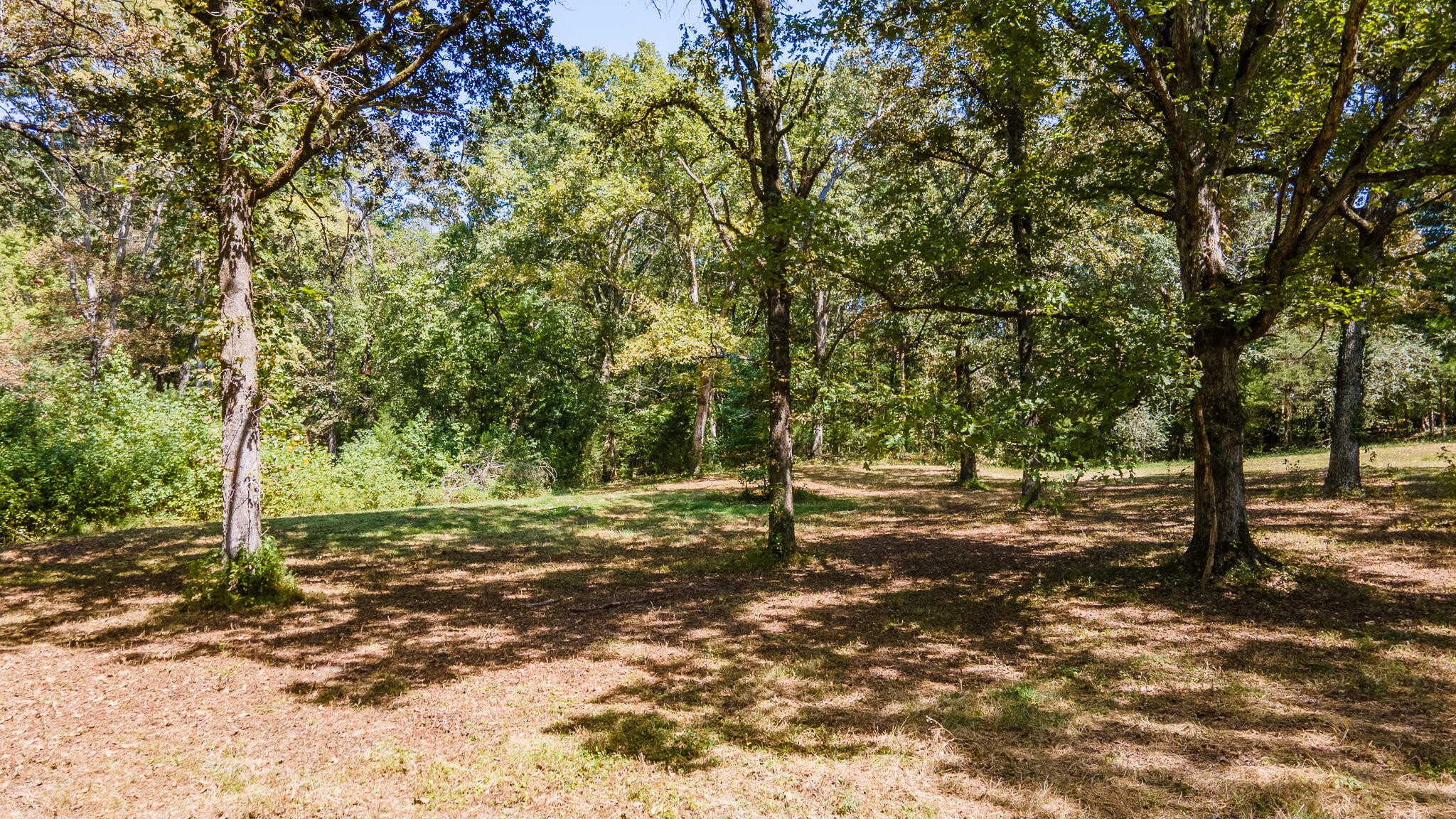 13875 Rankin Avenue Dunlap, TN 37327 - Photo 16 of 34