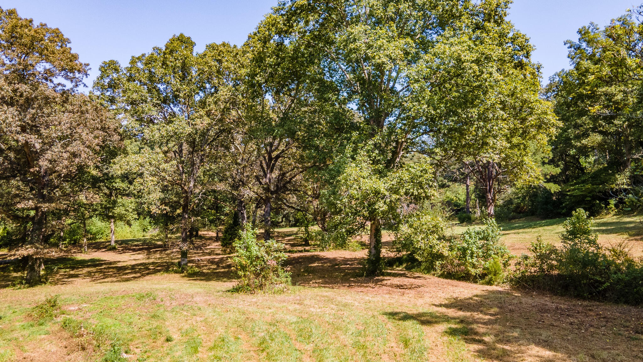 13875 Rankin Avenue Dunlap, TN 37327 - Photo 17 of 34