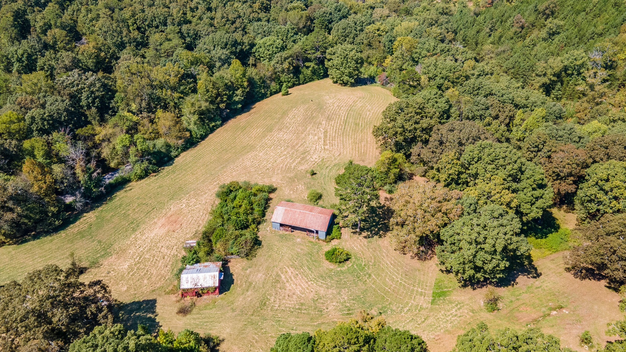 13875 Rankin Avenue Dunlap, TN 37327 - Photo 22 of 34