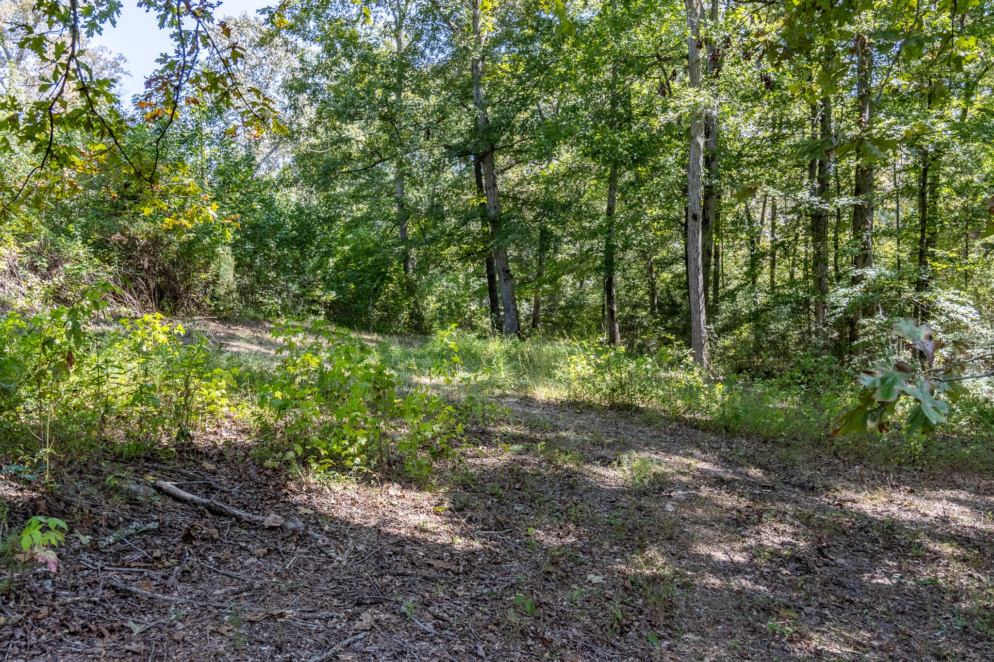 13875 Rankin Avenue Dunlap, TN 37327 - Photo 28 of 34