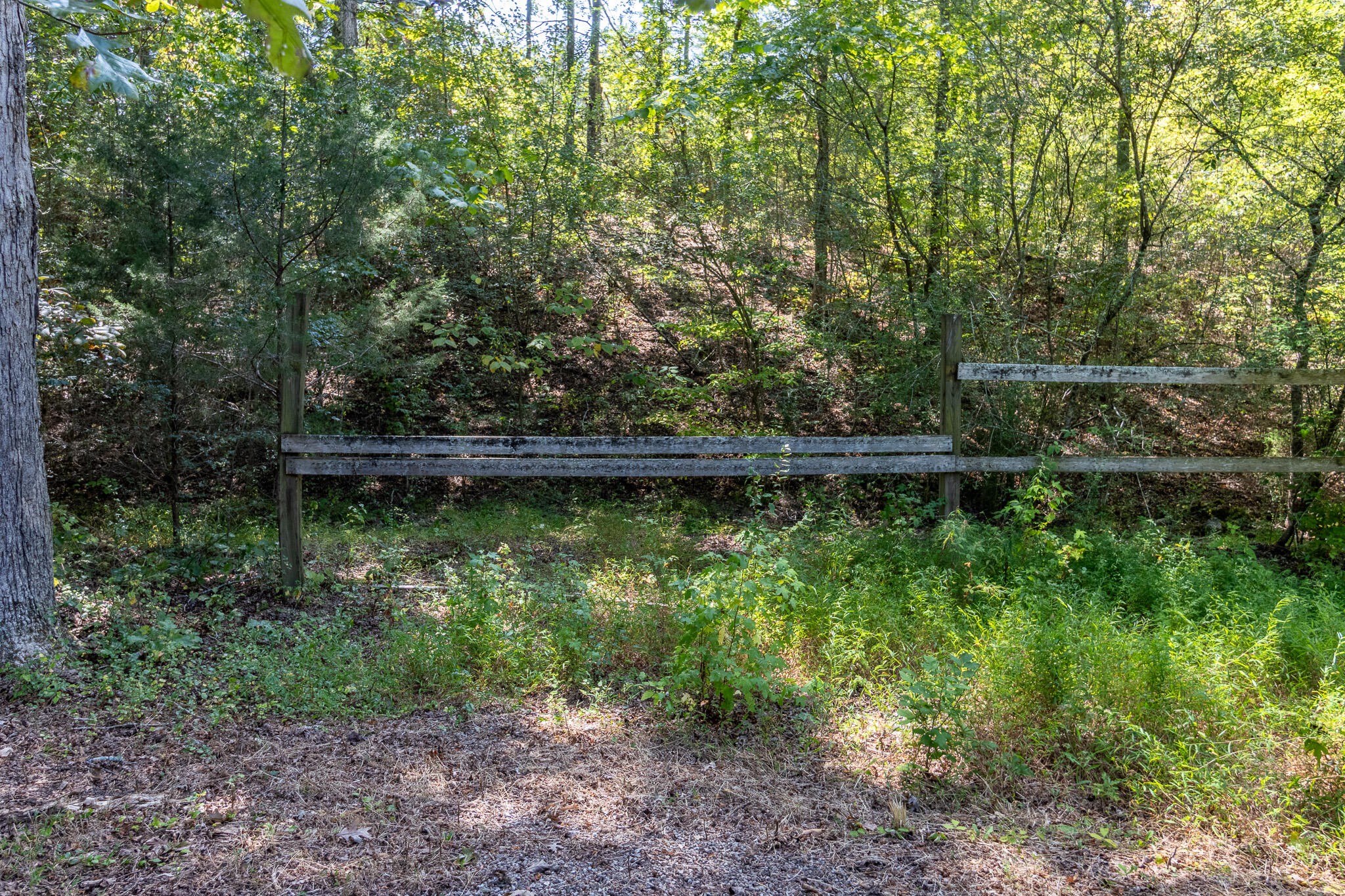 13875 Rankin Avenue Dunlap, TN 37327 - Photo 29 of 34