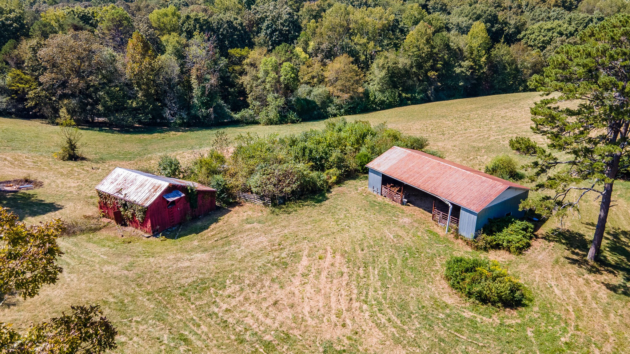 13875 Rankin Avenue Dunlap, TN 37327 - Photo 4 of 34