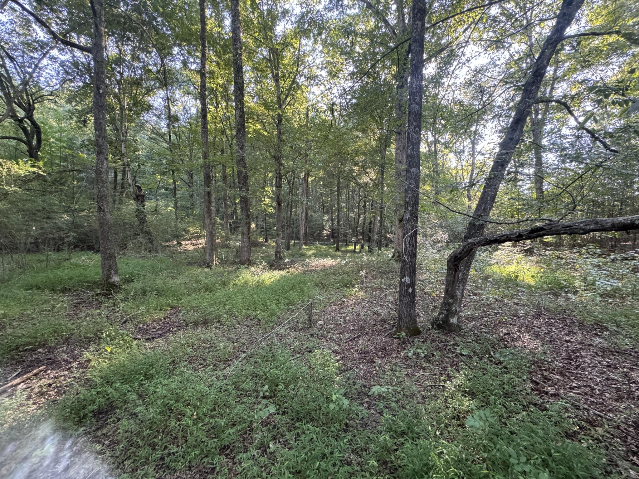 13875 Rankin Avenue Dunlap, TN 37327 - Photo 6 of 34