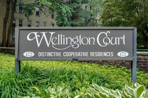 a view of a garden with a pathway