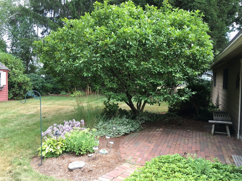 77 Ardmore Road Framingham, MA 01702 - Photo 2 of 12 Gallery Image 2