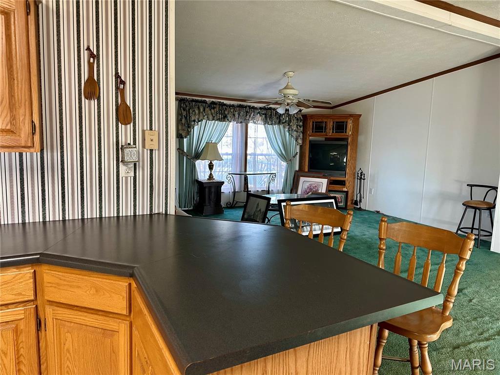 20754 Emerald Road Carlyle, IL 62231 - Photo 21 of 31