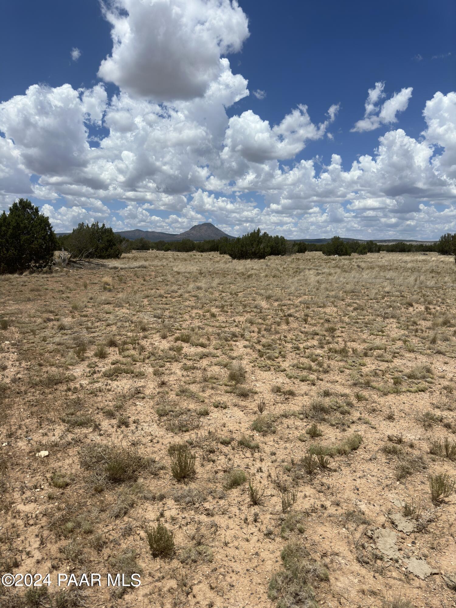 Lot 118 Prairie Dog Road Ash Fork, AZ 86320 - Photo 1 of 10 IMG_6765