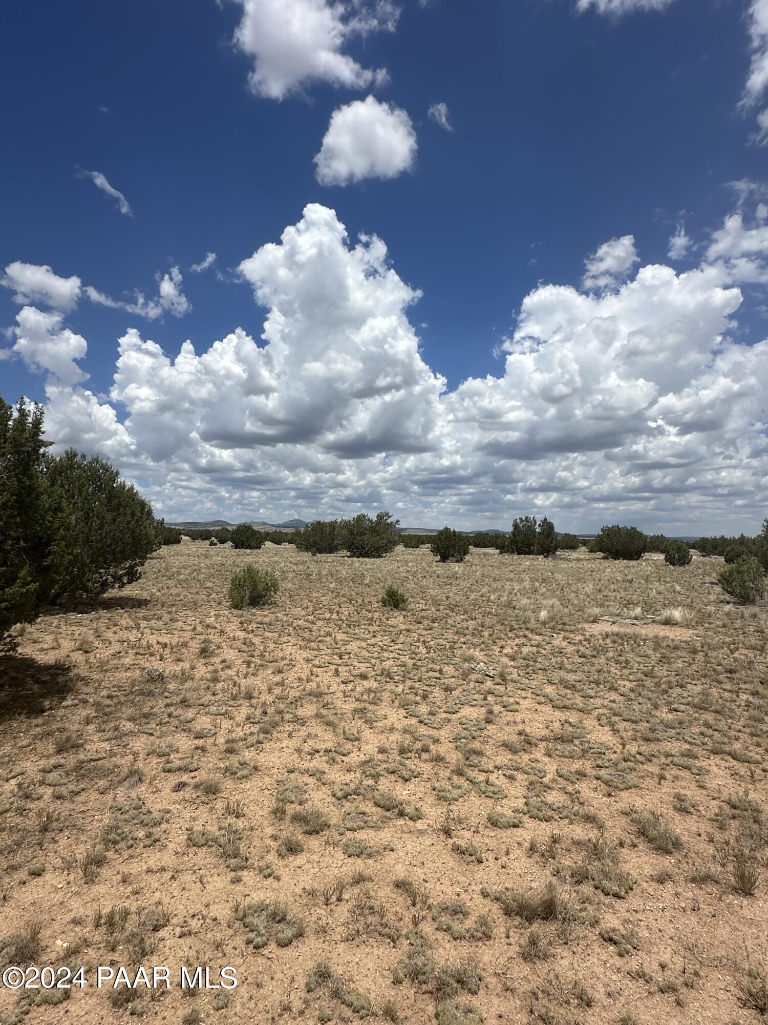 Lot 118 Prairie Dog Road Ash Fork, AZ 86320 - Photo 3 of 10 IMG_6761