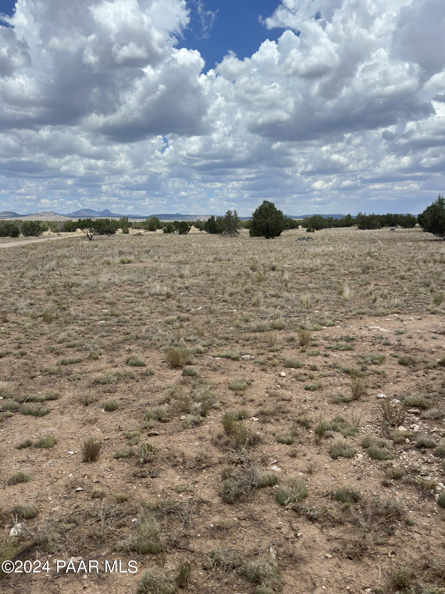 Lot 118 Prairie Dog Road Ash Fork, AZ 86320 - Photo 4 of 10 IMG_6758