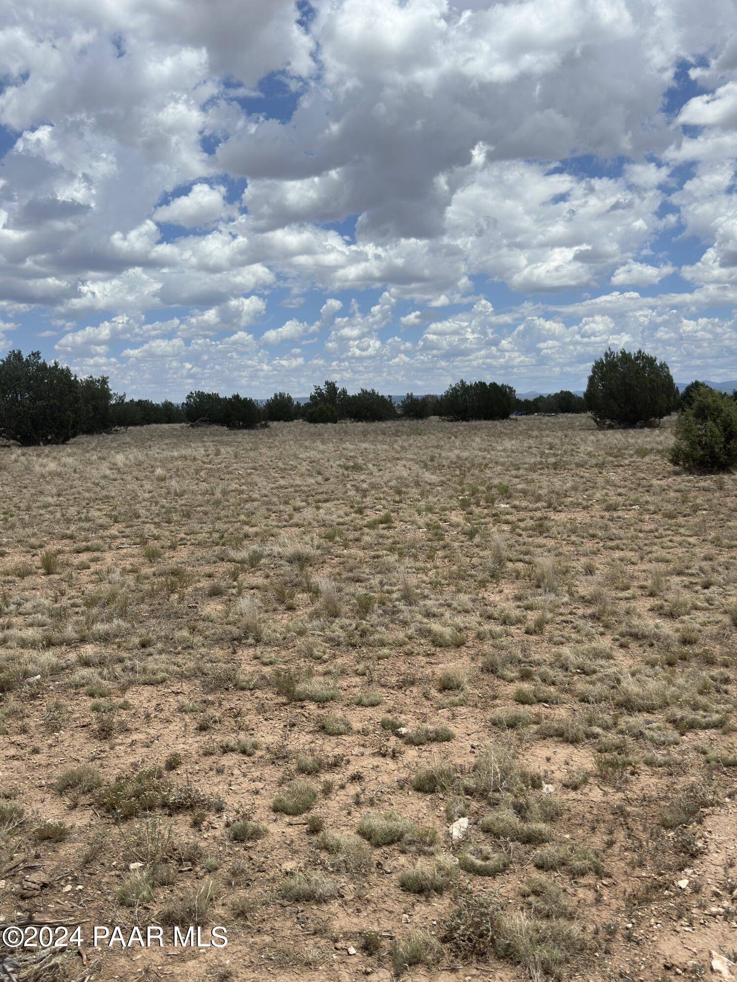 Lot 118 Prairie Dog Road Ash Fork, AZ 86320 - Photo 5 of 10 IMG_6760
