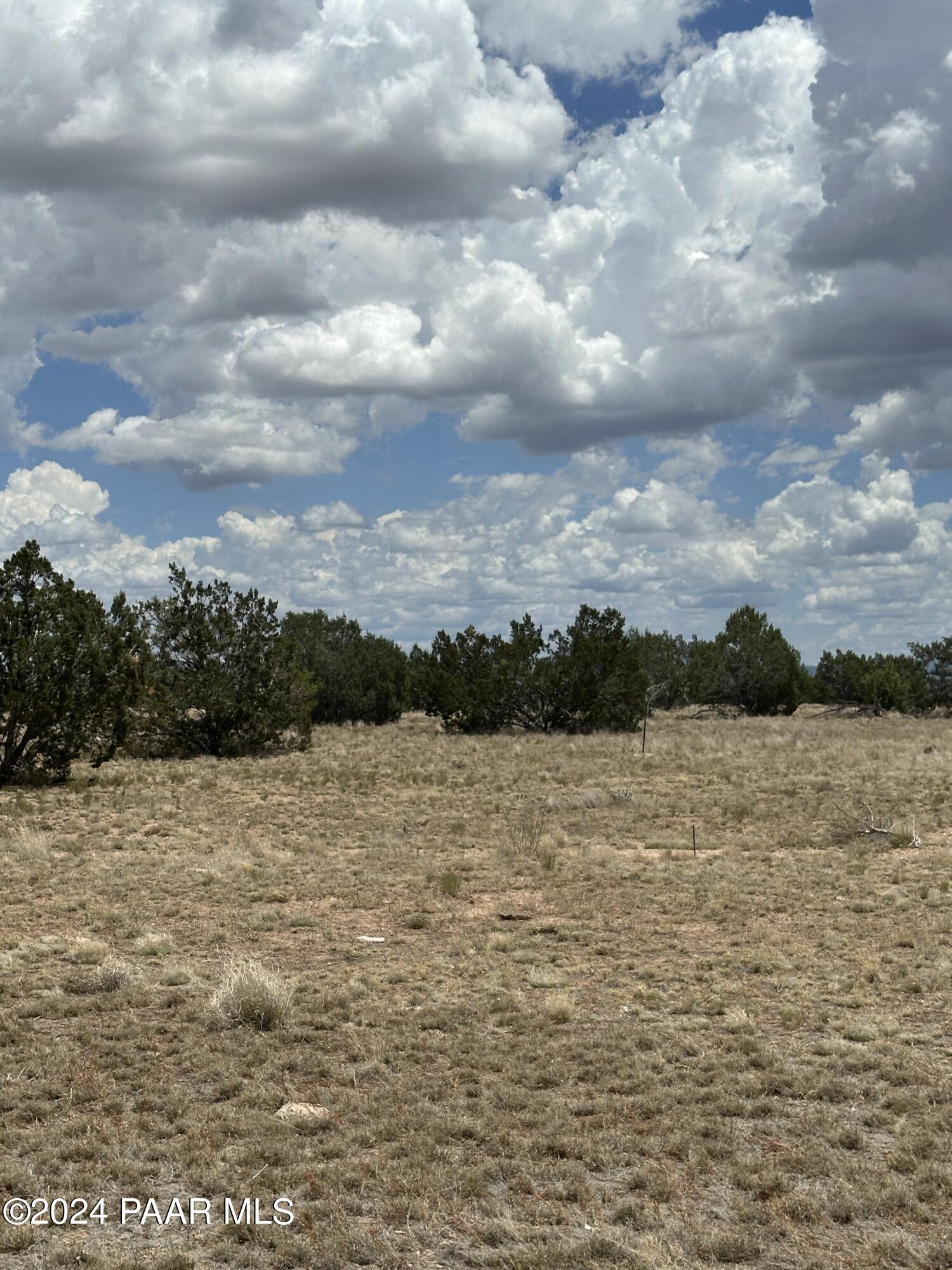 Lot 118 Prairie Dog Road Ash Fork, AZ 86320 - Photo 6 of 10 IMG_6782