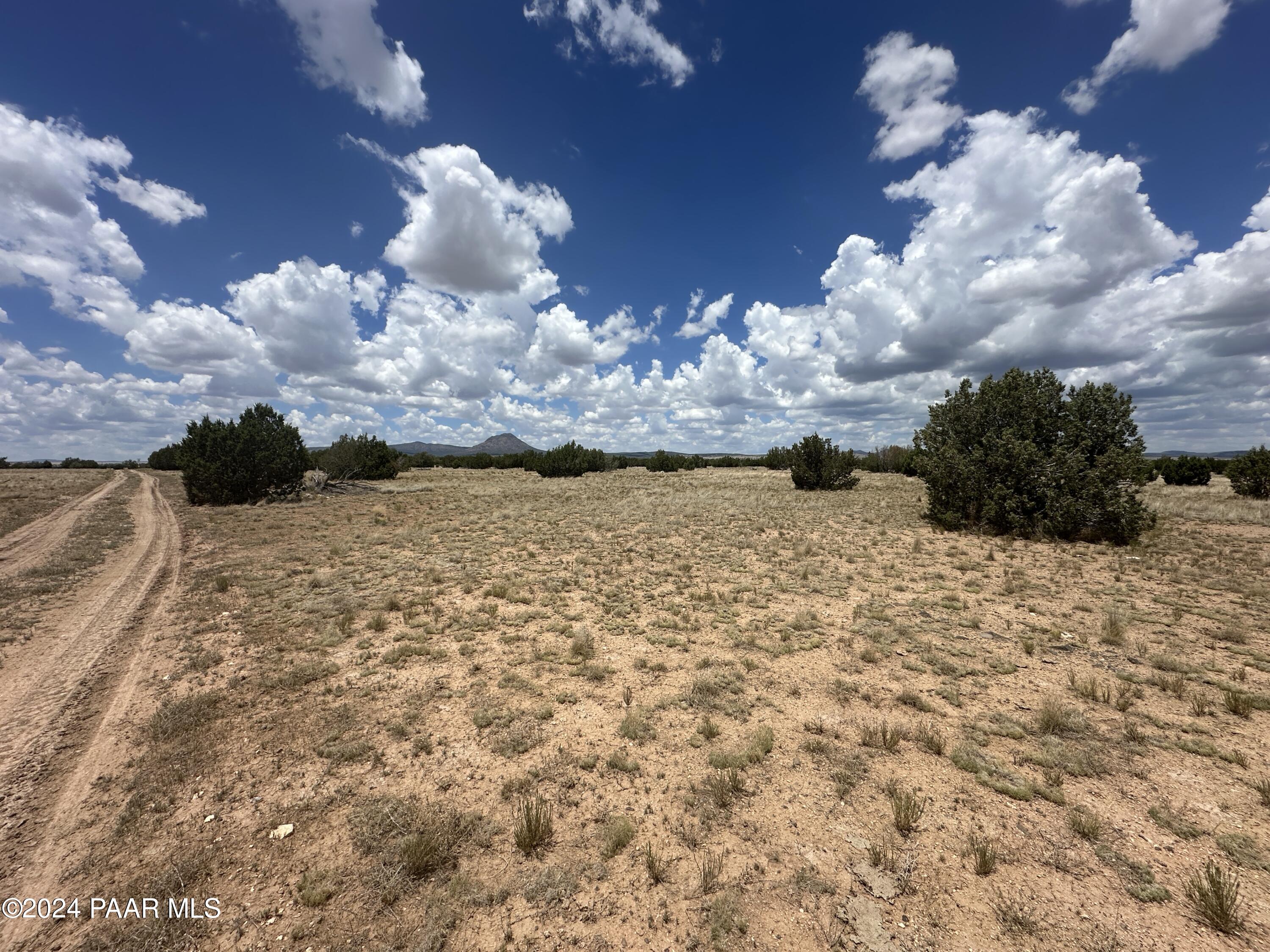 Lot 118 Prairie Dog Road Ash Fork, AZ 86320 - Photo 7 of 10 IMG_6768