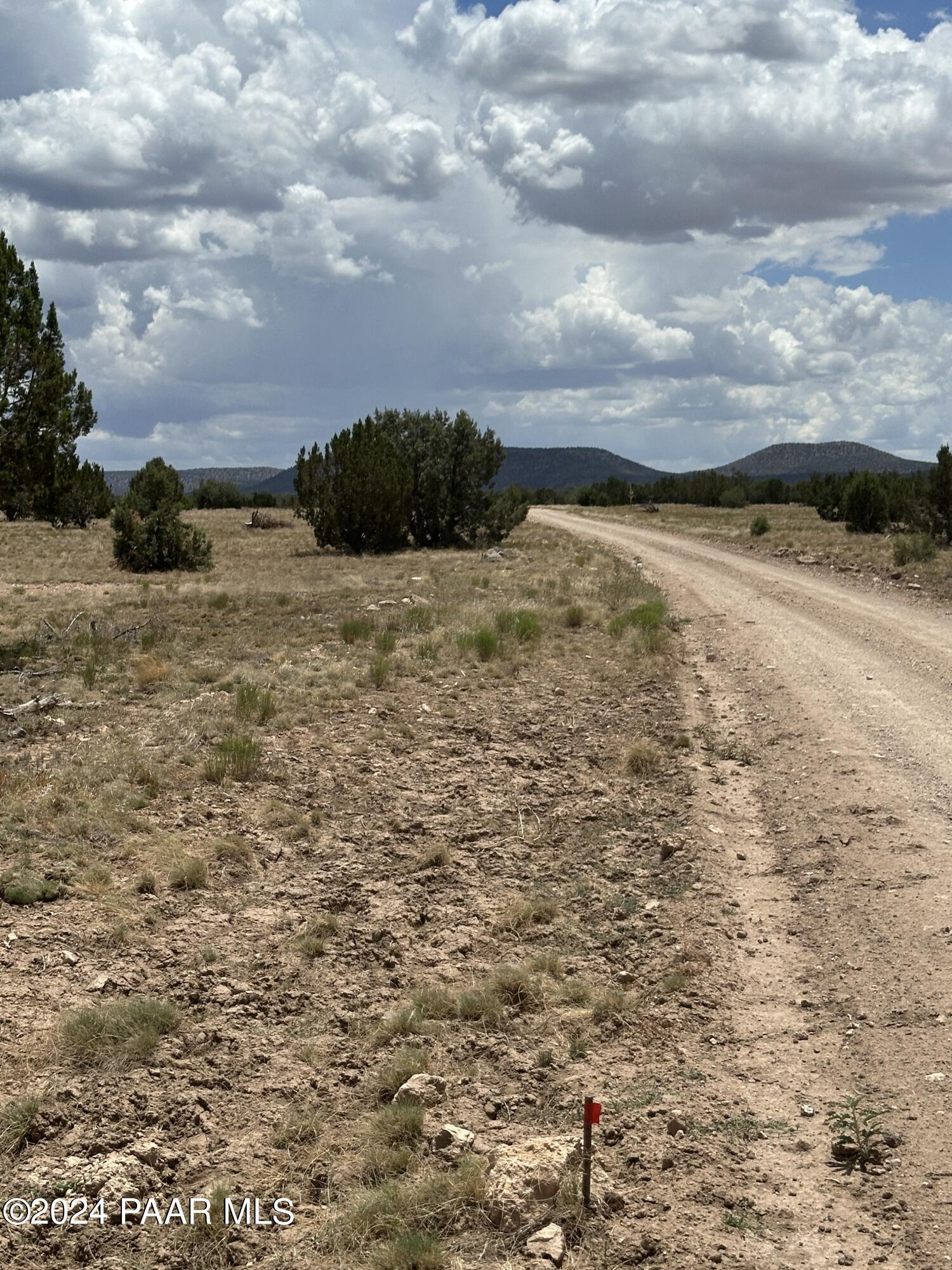 Lot 118 Prairie Dog Road Ash Fork, AZ 86320 - Photo 8 of 10 IMG_6784