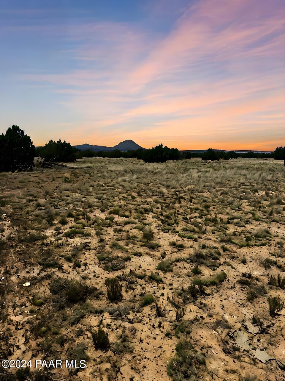 Lot 118 Prairie Dog Road Ash Fork, AZ 86320 - Photo 9 of 10 AI - IMG_6765 copy Large