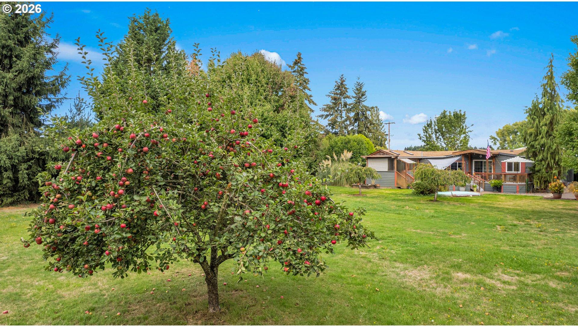 11798 Northeast Carl Road Woodburn, OR 97071 - Photo 40 of 48 Gallery Image 40