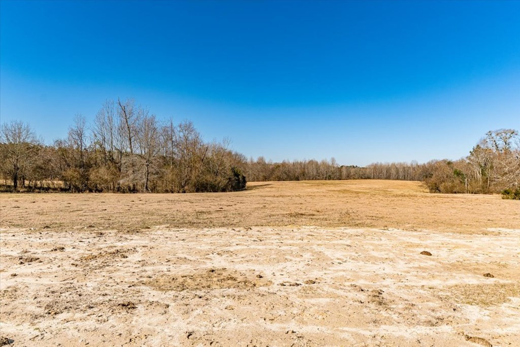 349 Sardis Road Rayle, GA 30660 - Photo 67 of 71