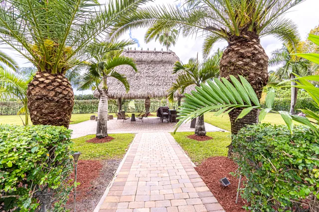 a view of a patio with table and chairs potted plants and large tree