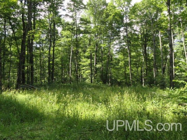 Tbd Norway Lake Road Sidnaw, MI 49961 - Photo 5 of 17