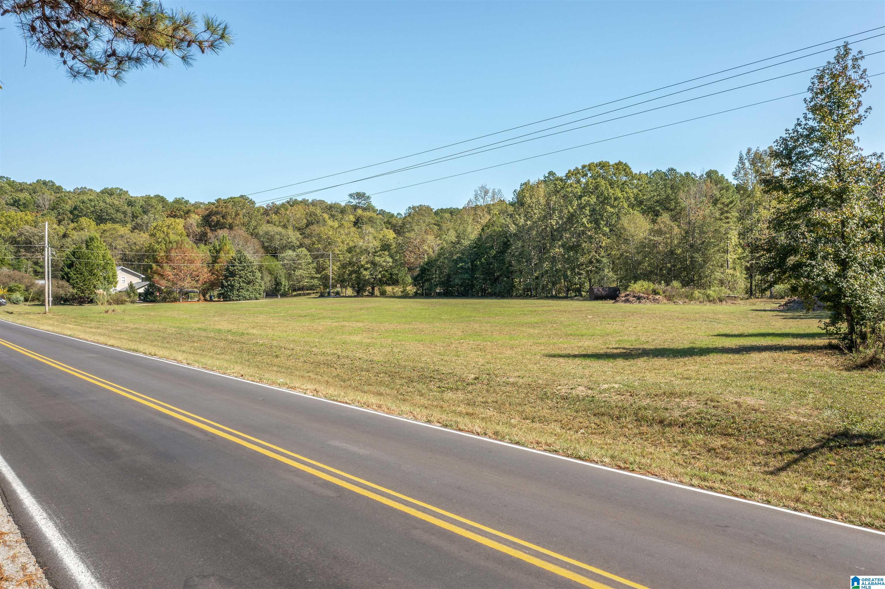 0 Roy Webb Road Jacksonville, AL 36265 - Photo 3 of 15