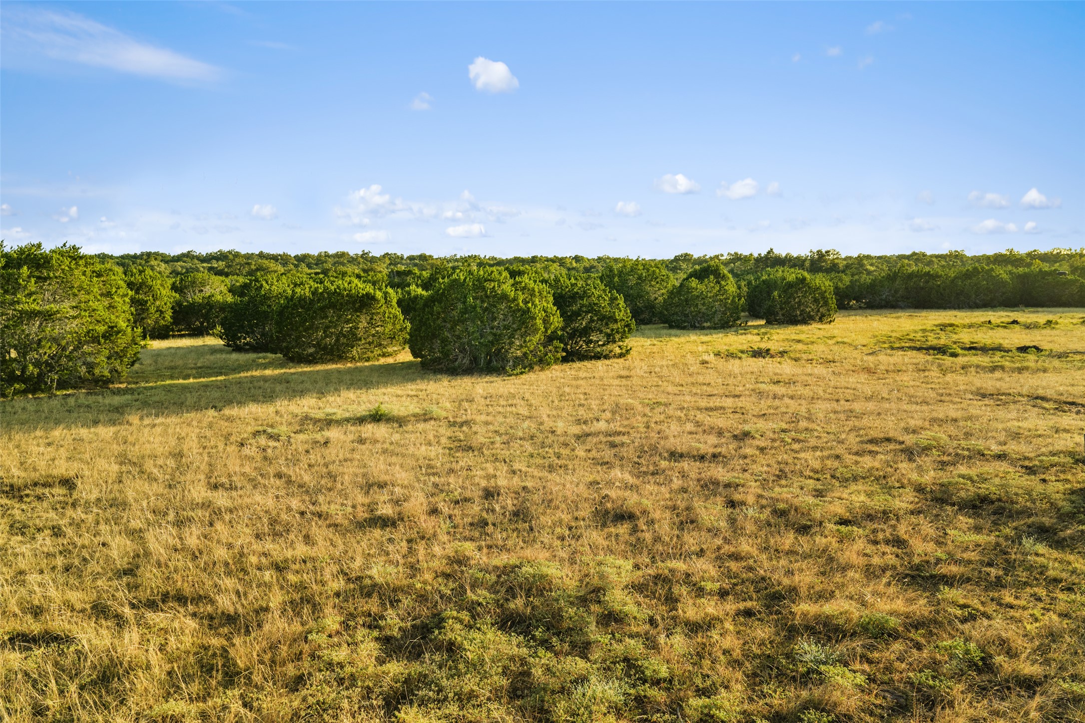 0 Hays Country Acres Road Dripping Springs, TX 78620 - Photo 28 of 33 Mature trees dot the rolling golden pastures under a clear blue sky.
