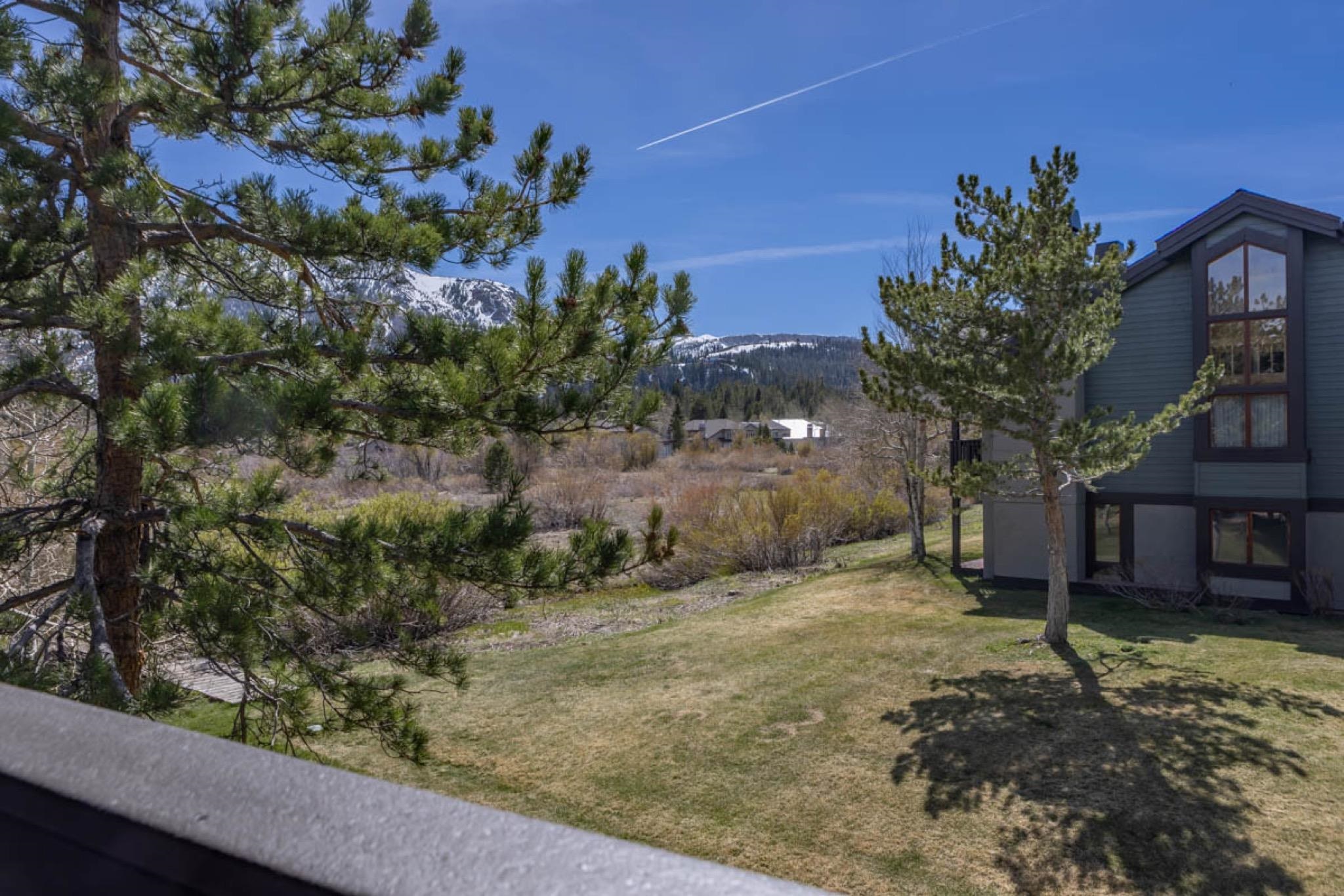 417 Snowcreek Road, Unit 417 Mammoth Lakes, CA 93546 - Photo 28 of 31 a flower plants and wooden fence
