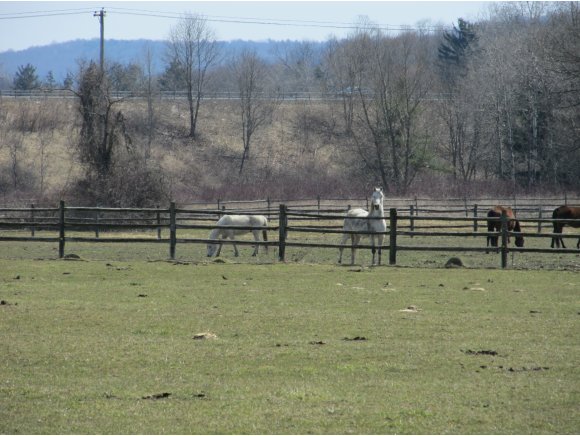 2358 Whitney Point-Lisle Road Whitney Point, NY 13862 - Photo 23 of 24 Gallery Image 23