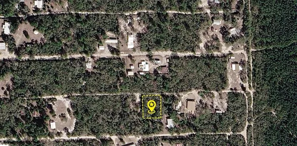 $7,000 | Xx Northeast 234th Lane, Fort McCoy, FL 32134