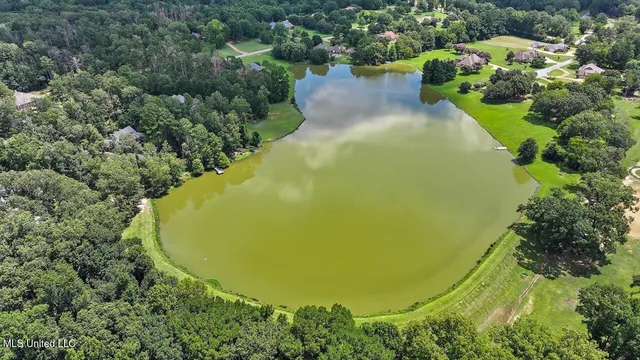 $685,000 | 155 Dominion Parkway, Brandon, MS 39042