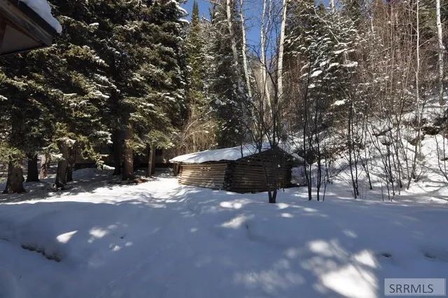 $725,000 | 4021 Swan Valley Highway, Irwin, ID 83428