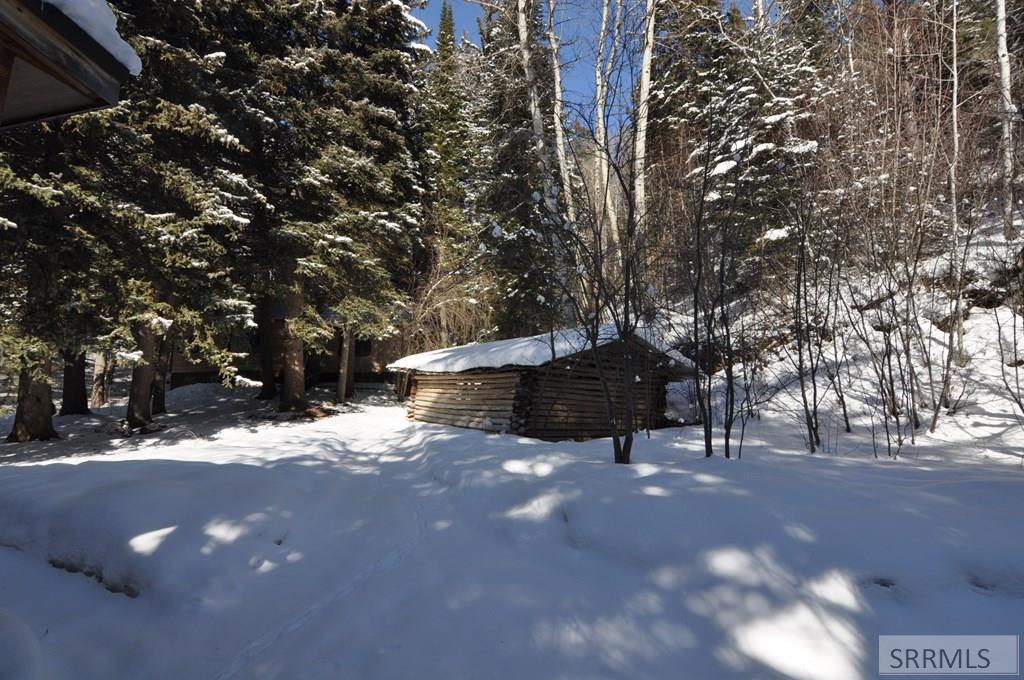4021 Swan Valley Highway Irwin, ID 83428 - Photo 12 of 39 wood shed