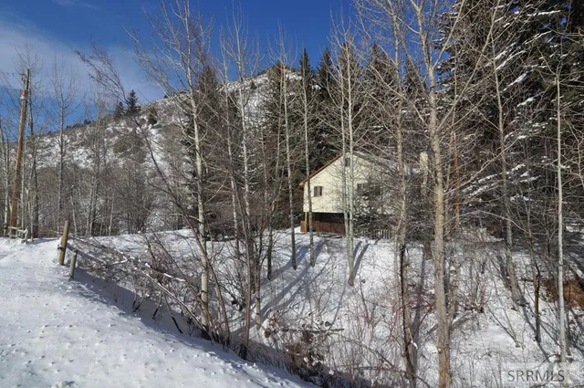 $725,000 | 4021 Swan Valley Highway, Irwin, ID 83428