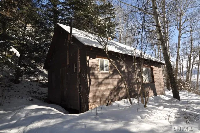 $725,000 | 4021 Swan Valley Highway, Irwin, ID 83428