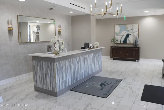 a room with a potted plant