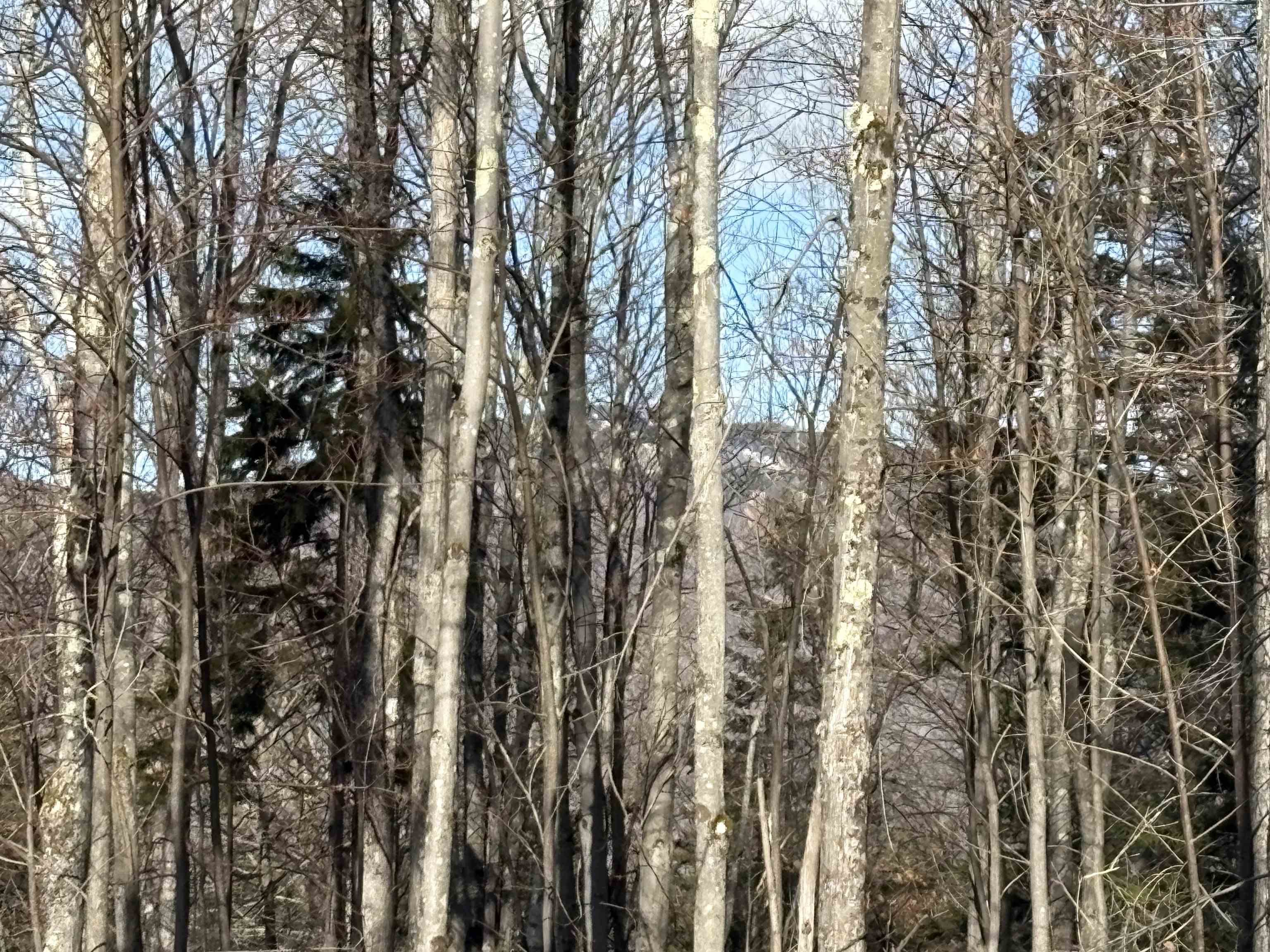 103 Bear Hill Road West Ludlow, VT 05149 - Photo 12 of 17