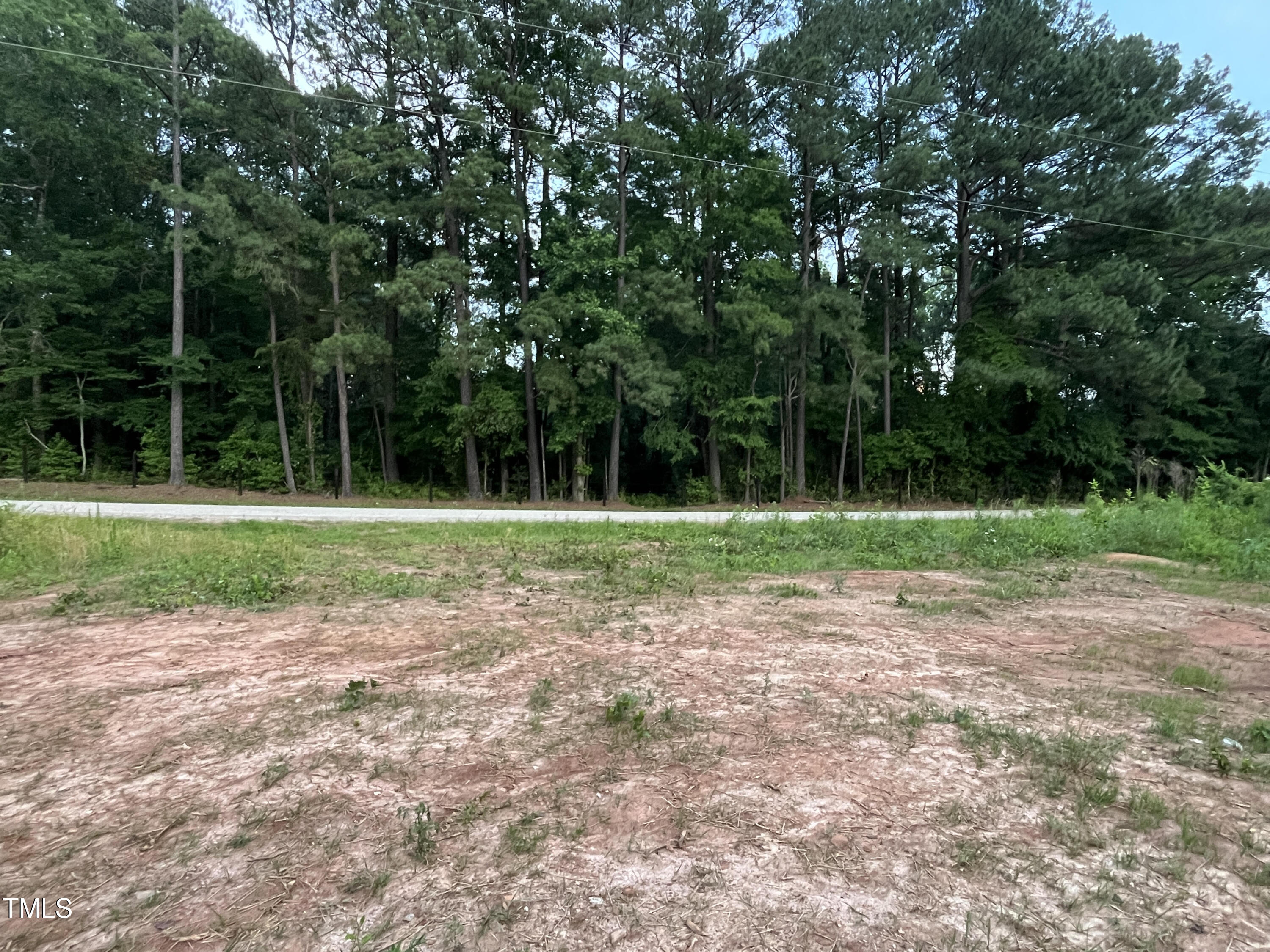184 Charlie Morgan Road Louisburg, NC 27549 - Photo 14 of 16 Front view