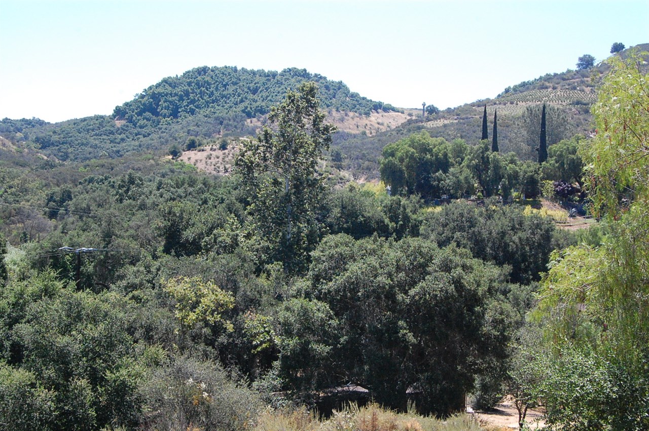 30660 Anthony Road Valley Center, CA 92082 - Photo 2 of 18