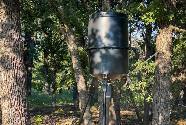a close up of a plant in a pot