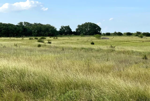 a view of a golf course with a lake