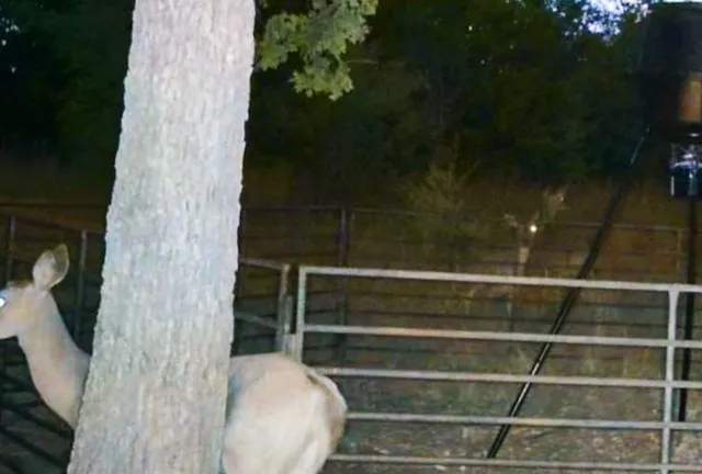 a bathroom with a toilet