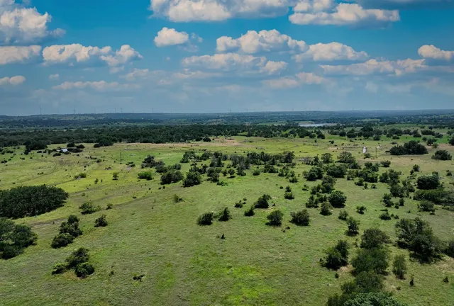 a view of a bunch of trees and houses