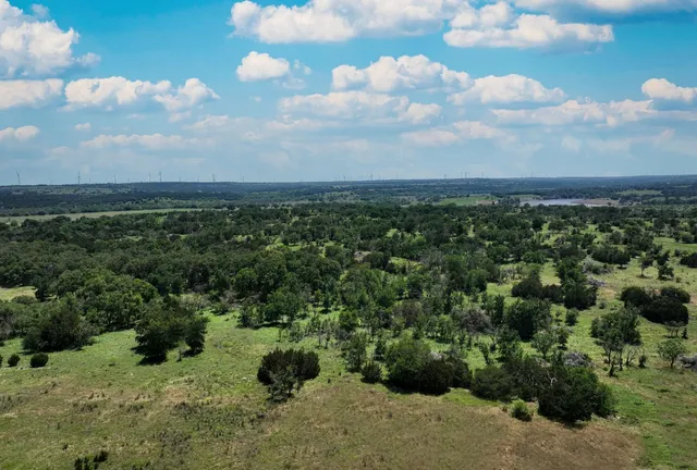 a view of a bunch of trees in a field