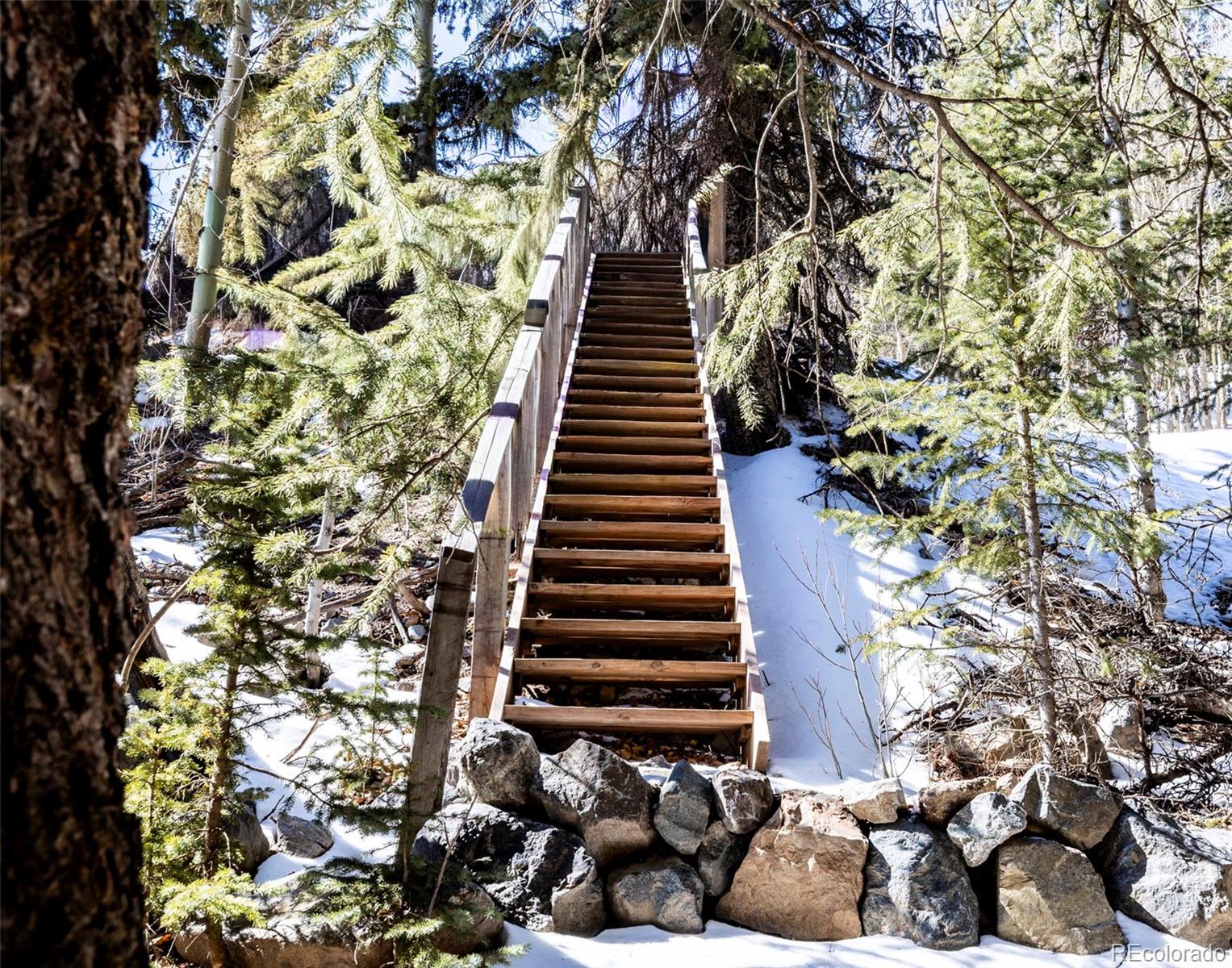 944 Roberts Road Alma, CO 80420 - Photo 13 of 30