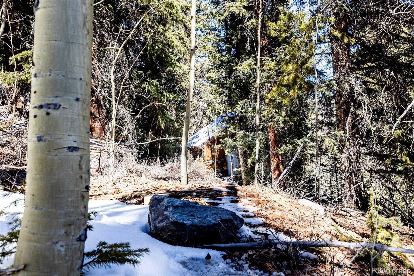 944 Roberts Road Alma, CO 80420 - Photo 22 of 30