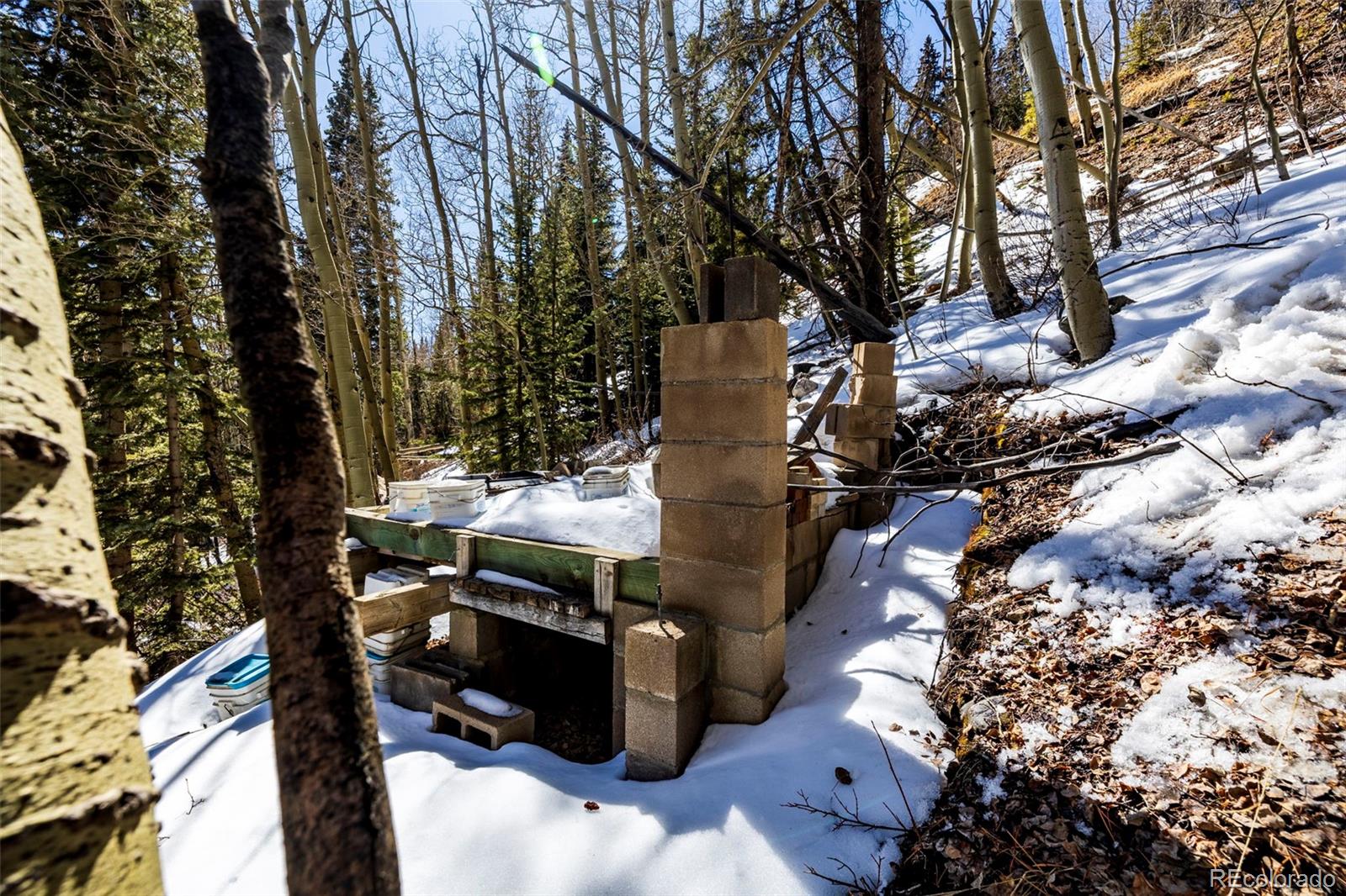 944 Roberts Road Alma, CO 80420 - Photo 23 of 30