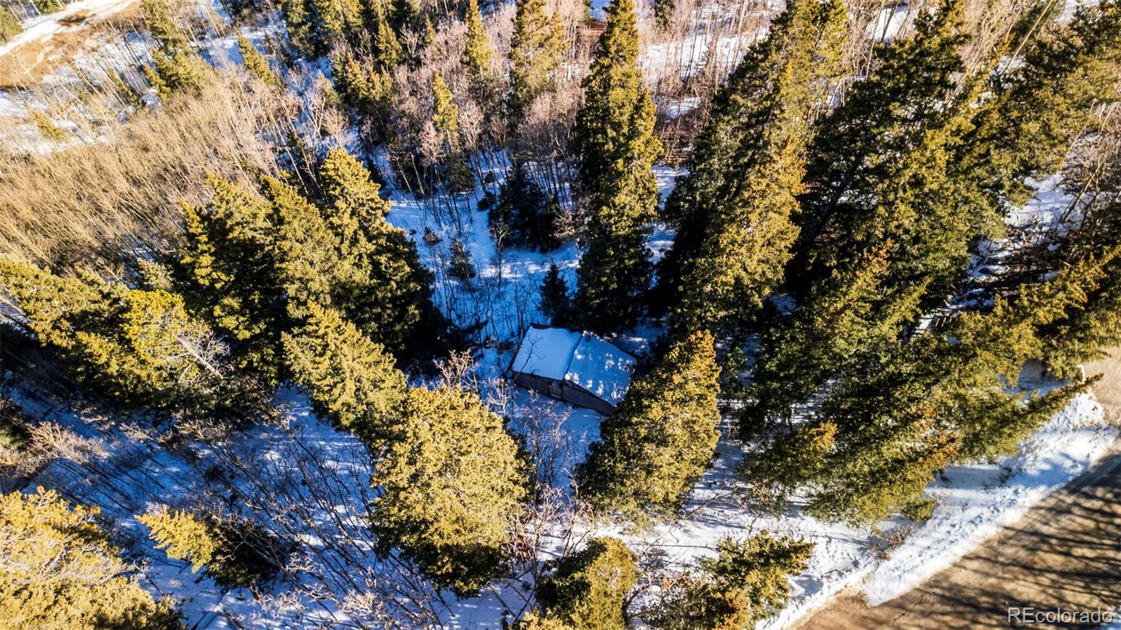 944 Roberts Road Alma, CO 80420 - Photo 25 of 30