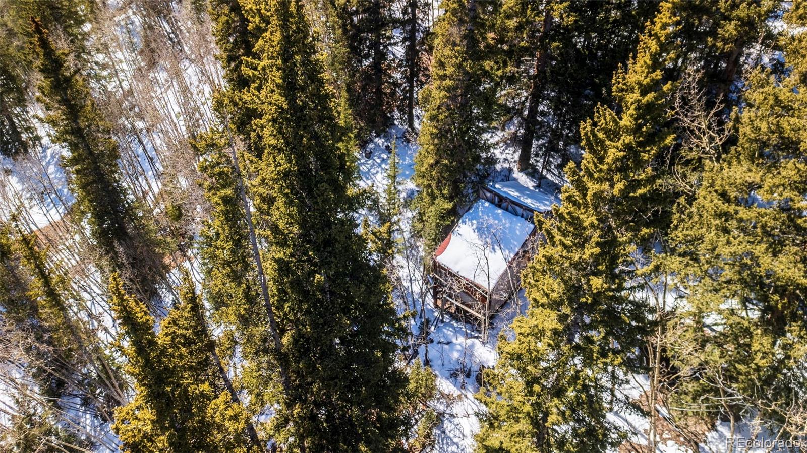 944 Roberts Road Alma, CO 80420 - Photo 8 of 30